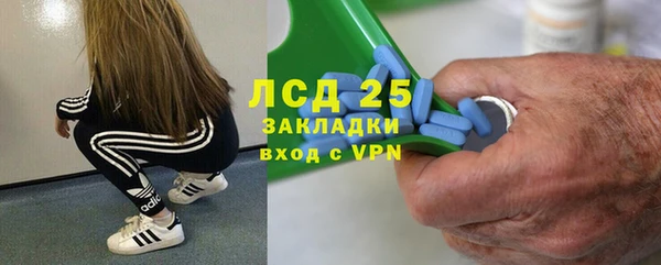 СК Михайловск