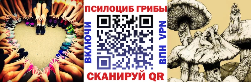 Псилоцибиновые грибы ЛСД  Камень-на-Оби 